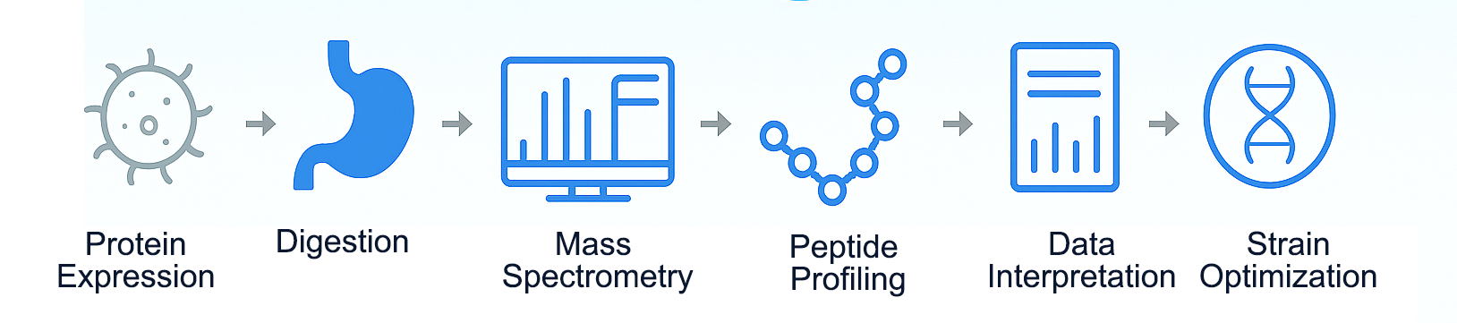 Project Flow Diagram